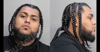 ROJAS, YONI | 2019-02-22 04:20:00 Miami-Dade County, Florida Booking