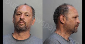 ALVAREZ, IVAN | 2019-02-22 03:31:00 Miami-Dade County, Florida Booking