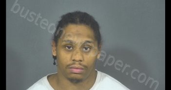 DENNIS LAMAR BIRTS | 2019-02-22 12:33:00 St. Joseph County, Indiana Booking