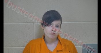 BRITTANY N SAMMONS | 2019-02-22 01:29:00 Taylor County, Kentucky Booking