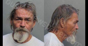 NORLING, TIMOTHY | 2019-02-22 13:07:00 Miami-Dade County, Florida Booking