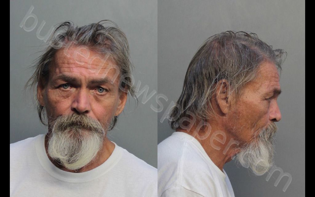 NORLING, TIMOTHY #, Miami-Dade County, Florida - 2019-02-22 13:07:00