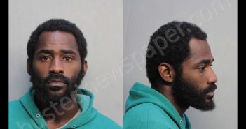 RAMSEY, EDDIE WINSTON | 2019-02-22 08:47:00 Miami-Dade County, Florida Booking