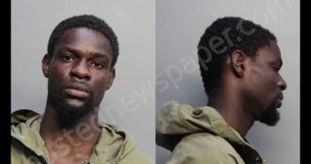 JOCELYN, EMMANUEL FRANCY | 2019-02-22 04:34:00 Miami-Dade County, Florida Booking