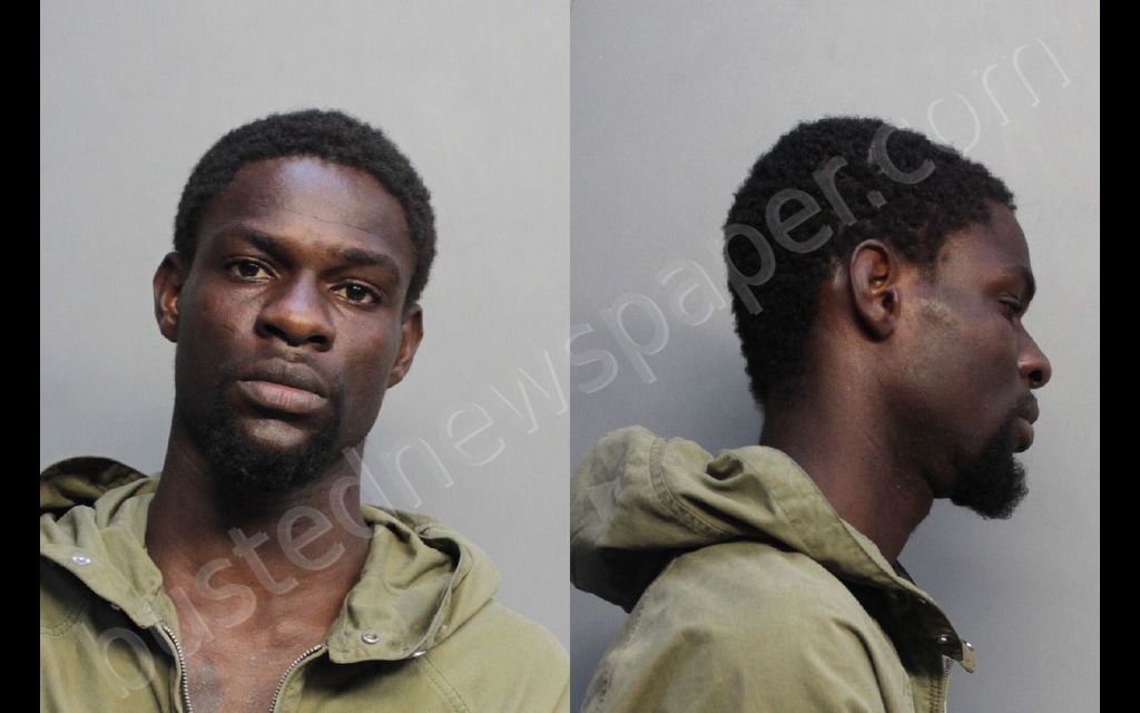 JOCELYN, EMMANUEL FRANCY #, Miami-Dade County, Florida - 2019-02-22 04:34:00