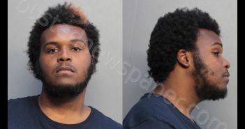 BROUGHTON, LOU CEPEDA | 2019-02-22 01:52:00 Miami-Dade County, Florida Booking