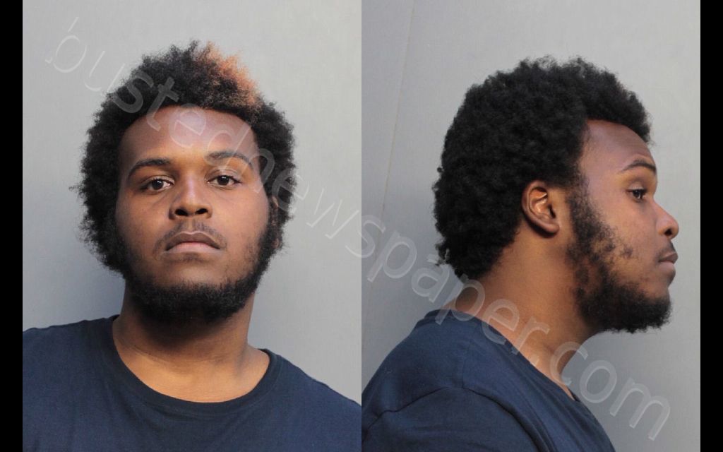 BROUGHTON, LOU CEPEDA #, Miami-Dade County, Florida - 2019-02-22 01:52:00