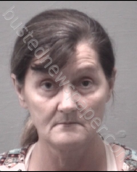 HAMILTON, LISA DANIELLE #, New Hanover County, North Carolina - 2019-02-22