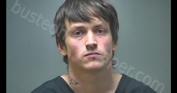 ALEXANDER SCOTT DAVIS | 2019-02-22 01:39:00 Isabella County, Michigan Booking