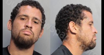 MURILLO, JORGE ANTONIO | 2019-02-22 14:52:00 Miami-Dade County, Florida Booking