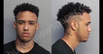 UERANE, SAMUEL | 2019-02-22 13:20:00 Miami-Dade County, Florida Booking