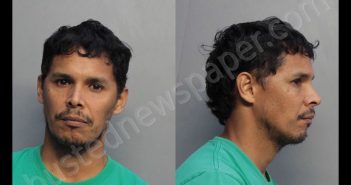 ROCA, FELIX | 2019-02-22 13:47:00 Miami-Dade County, Florida Booking