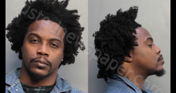 DEAL, RODERICK CHRISTOPHERL | 2019-02-22 05:32:00 Miami-Dade County, Florida Booking