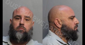 BINELO, MIKE | 2019-02-22 10:02:00 Miami-Dade County, Florida Booking