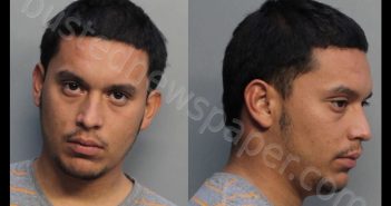 SANMARTIN, CHRISTOPHER JOVANY | 2019-02-22 14:20:00 Miami-Dade County, Florida Booking