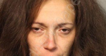 WATSON, SALLY MAE | 2019-02-22 17:14:00 Jefferson County, Alabama Booking