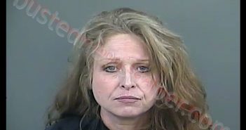 KIMBERLY FINLEY ELLISON | 2019-02-22 23:00:00 Anderson County, South Carolina Booking