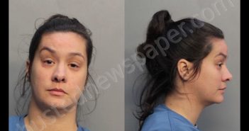 ANON, VANESSA | 2019-02-22 12:47:00 Miami-Dade County, Florida Booking