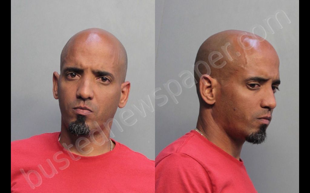 MEDINA, HECTOR R #, Miami-Dade County, Florida - 2019-02-22 04:38:00