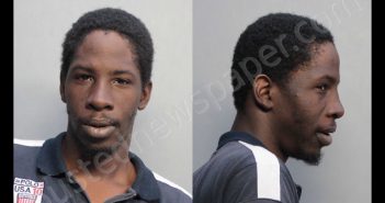 HODGES, KATAJH | 2019-02-22 04:12:00 Miami-Dade County, Florida Booking