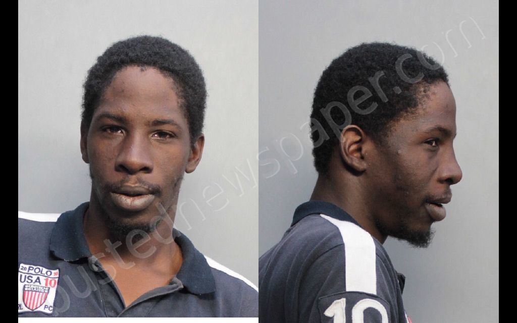 HODGES, KATAJH #, Miami-Dade County, Florida - 2019-02-22 04:12:00