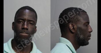 BLACH, ERIC LATODD | 2019-02-22 13:08:00 Miami-Dade County, Florida Booking