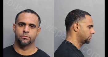 FERNANDEZ-ECHEVARRIA, JOSBEL | 2019-02-22 07:03:00 Miami-Dade County, Florida Booking