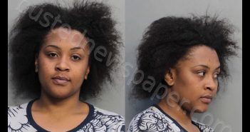 GARY, DENNEA BRIONNE | 2019-02-22 14:26:00 Miami-Dade County, Florida Booking