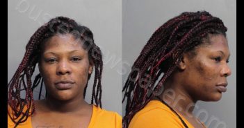 BENNETT, ANDREA NICOLI | 2019-02-22 16:21:00 Miami-Dade County, Florida Booking