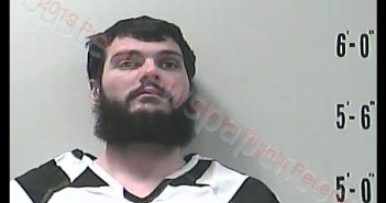 RICKY D HOWARD | 2019-02-22 22:23:00 Pulaski County, Indiana Booking