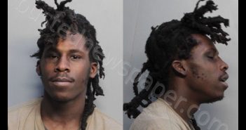 MCCRAY, DAVION JAMAR | 2019-02-22 04:54:00 Miami-Dade County, Florida Booking