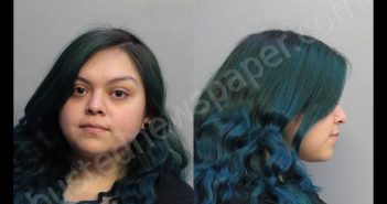PEREZ, JESSICA L | 2019-02-22 01:09:00 Miami-Dade County, Florida Booking