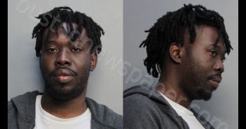 SUMPTER, KENTOURI | 2019-02-22 03:46:00 Miami-Dade County, Florida Booking