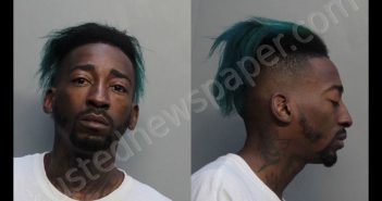 EDME, MUSTAFA PIERRE | 2019-02-22 16:28:00 Miami-Dade County, Florida Booking