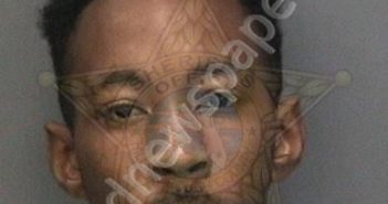 <B>MCCLEARY</B>, <B>DMONTRELL</B> DUANE ANTONIO #, Hillsborough County, Florida - 2019-02-22 12:00:00