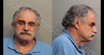 OLIVERLLORENTE, ANTHONY ANGEL | 2019-02-22 02:34:00 Miami-Dade County, Florida Booking