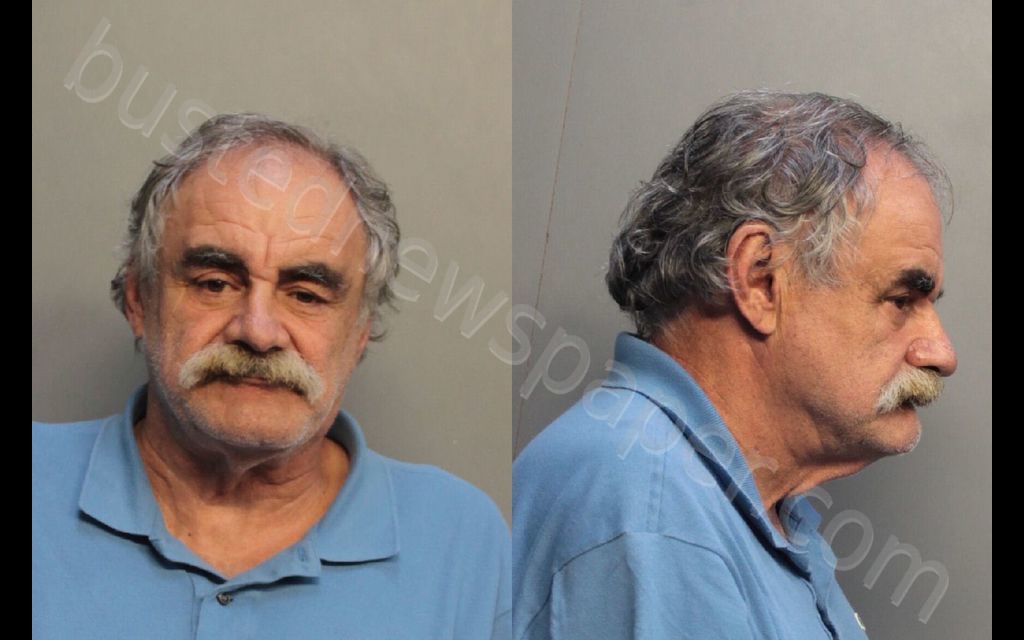OLIVERLLORENTE, ANTHONY ANGEL #, Miami-Dade County, Florida - 2019-02-22 02:34:00