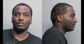 SMITH, CALVIN | 2019-02-22 01:16:00 Miami-Dade County, Florida Booking