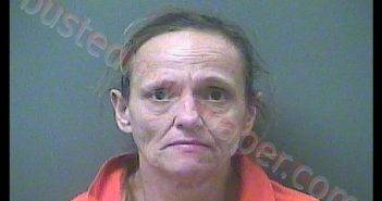 DENISE RENEE LUMPP | 2019-02-22 19:14:00 Laporte County, Indiana, La Porte County, Indiana Booking