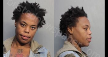 BROWN, KATHERINE MARIE | 2019-02-22 15:24:00 Miami-Dade County, Florida Booking