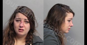 MEIER, ALICIA | 2019-02-22 05:17:00 Miami-Dade County, Florida Booking