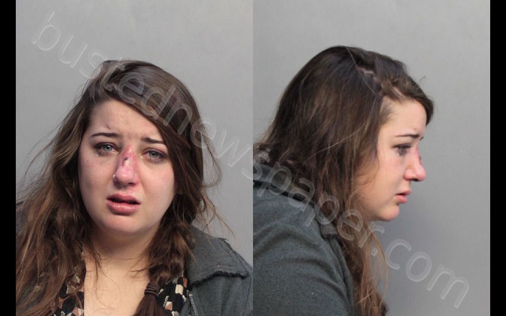 MEIER, ALICIA #, Miami-Dade County, Florida - 2019-02-22 05:17:00