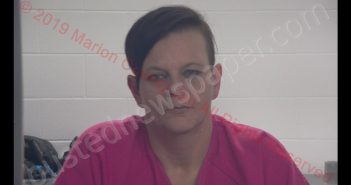 STEPHANIE M PERDUE | 2019-02-22 01:59:00 Marion County, Kentucky Booking