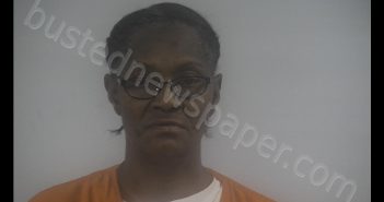 ARLEEN WRAY | 2019-02-22 12:18:00 Western Tidewater, Virginia Booking