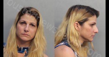 LARA, ILYEN | 2019-02-22 16:12:00 Miami-Dade County, Florida Booking