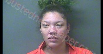 CHERITA A WRIGHT | 2019-02-23 05:03:00 Laporte County, Indiana, La Porte County, Indiana Booking