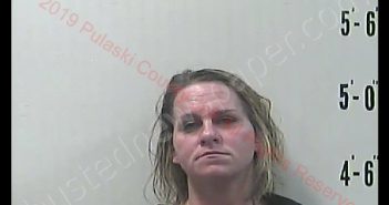 STEPHANIE M MCDANIEL | 2019-02-23 00:08:00 Pulaski County, Indiana Booking