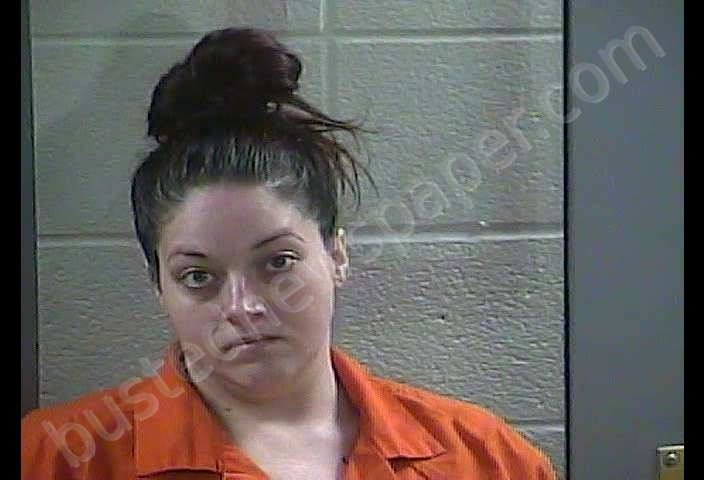 NATASHA J BOONE #, Laurel County, Kentucky - 2019-02-24 17:25:00