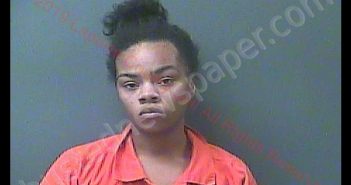 ANIKA A COOPER | 2019-02-25 13:48:00 Laporte County, Indiana, La Porte County, Indiana Booking