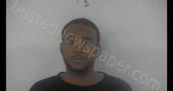 ERNEST LEDESMOND PIERCE | 2019-02-25 16:40:00 Western Tidewater, Virginia Booking